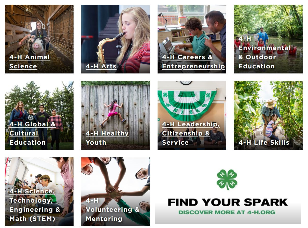 4-H find your spark.png